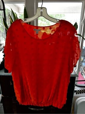 Cato Orange Sheer Swiss Dot Blouse